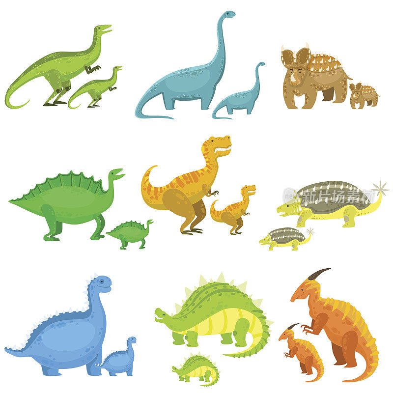 不同的恐龙大小成对