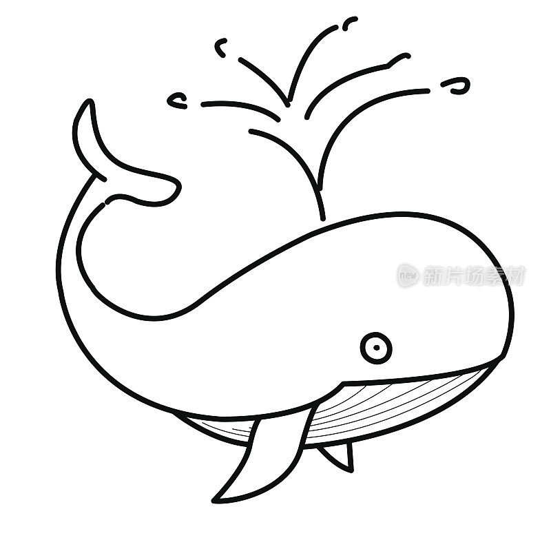 鲸鱼，用鲸鱼手绘草图。