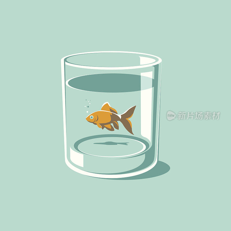 一杯水里的金鱼