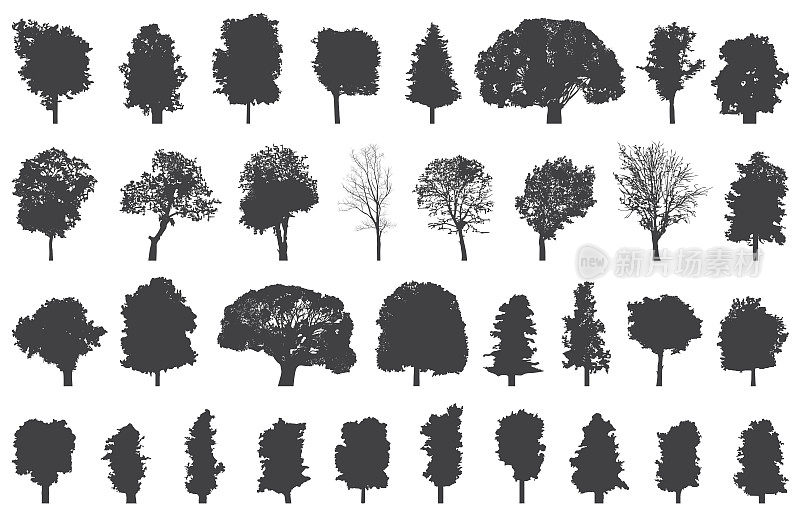 一组孤立的树木剪影
