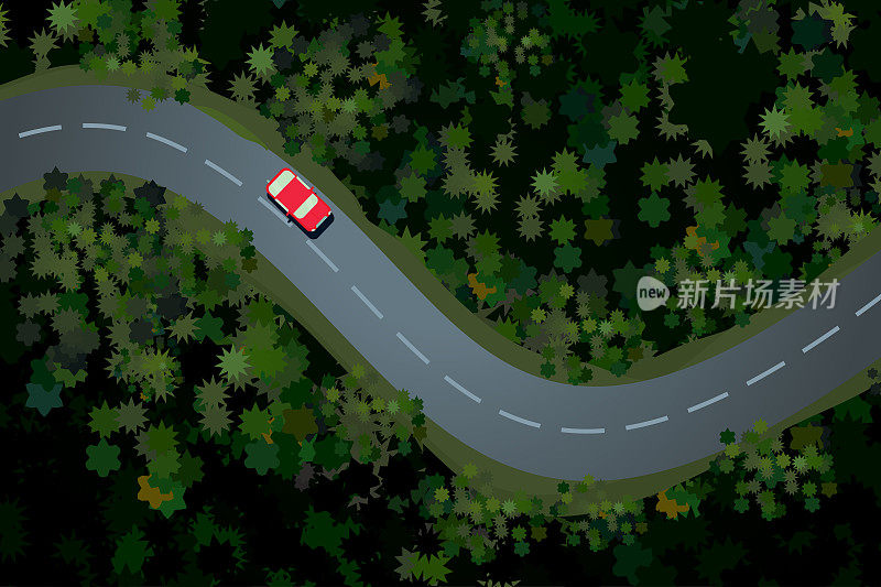 森林道路与汽车的俯视图。乡村公路，风景秀丽。假日旅游矢量卡通插图。