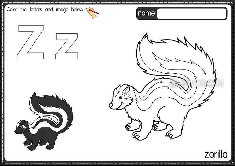 矢量插图的儿童字母着色书页与概述剪贴画，以颜色。字母Z代表Zorilla。
