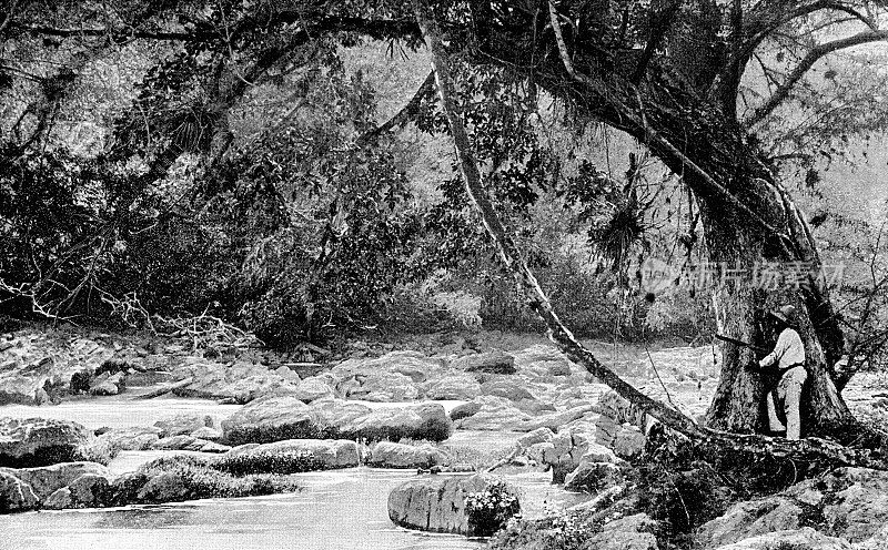 19世纪，墨西哥恰帕斯州的拉康登丛林