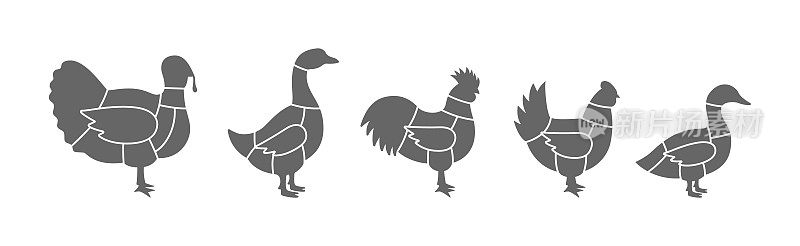 农场鸟类计划削减。火鸡，鸡，公鸡，鸭，鹅切肉。肉切图插图孤立在白色背景。
