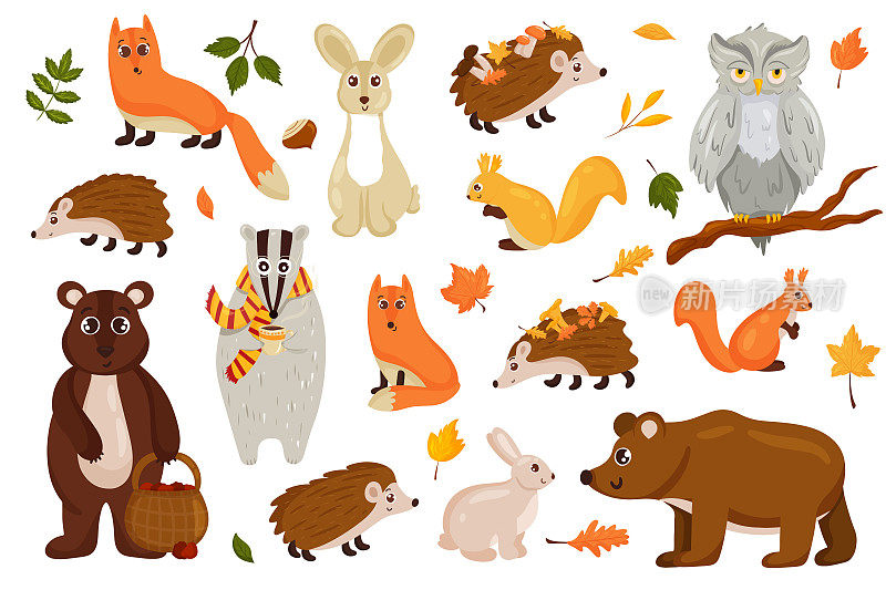 美丽的秋季主题动物集