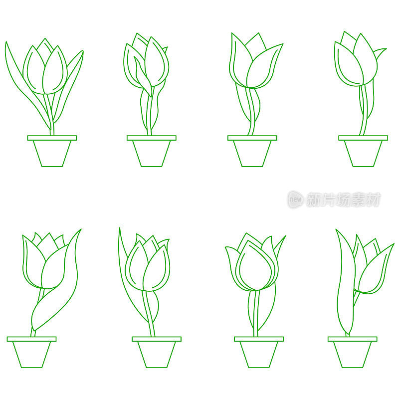 郁金香花矢量集