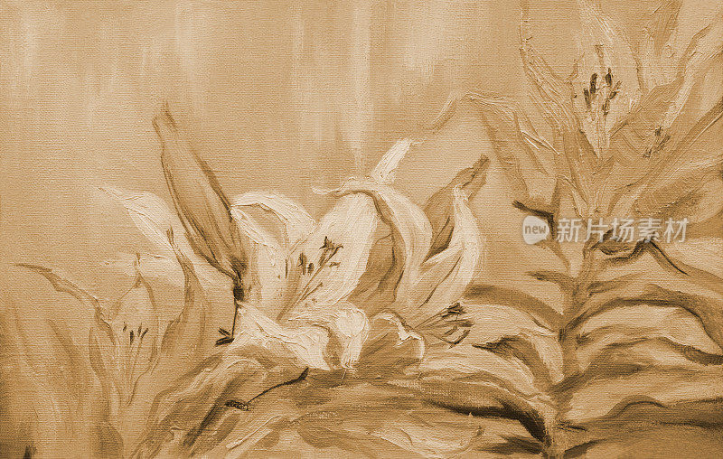 插图油画在深褐色的风景盛开白色百合花
