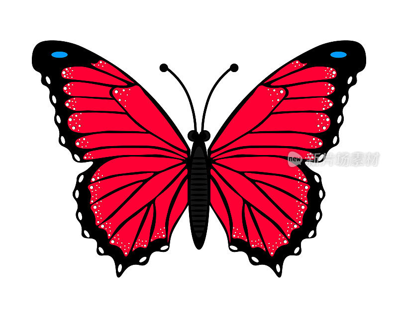 蝴蝶。一个简单的画有红色翅膀的昆虫。在白色背景上孤立的物体。