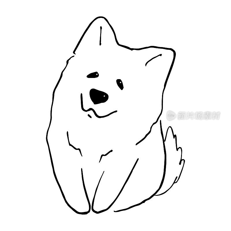 白色可爱微笑的萨摩耶狗手画矢量插图涂鸦。小狗卡通人物设计草图。儿童概念儿童印刷，海报设计，包装纸，图案