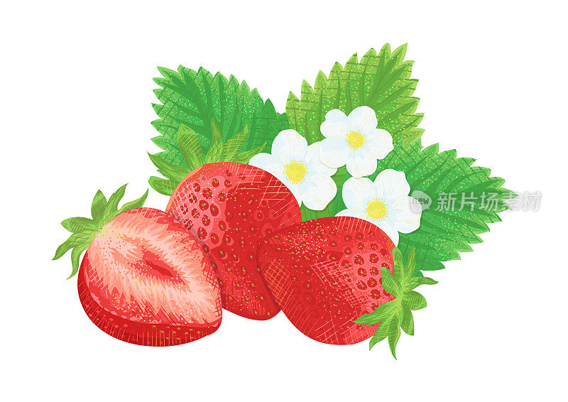 草莓，花和叶子的剪贴画，矢量插图