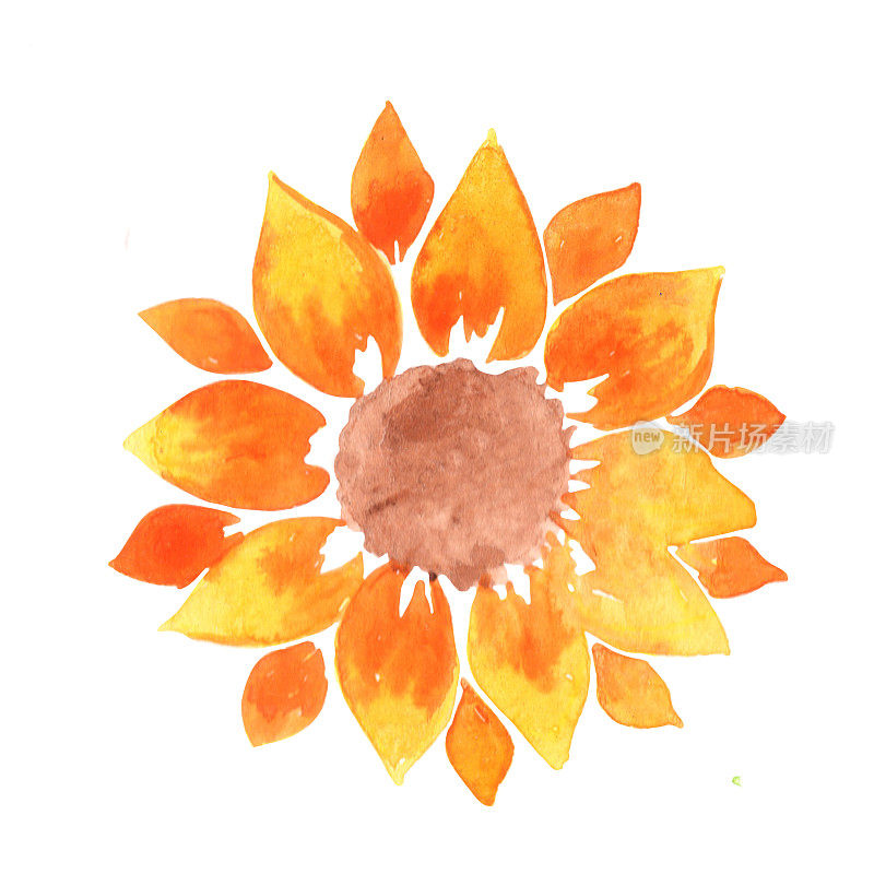 向日葵水彩装饰在夏季花园和花乌克兰。