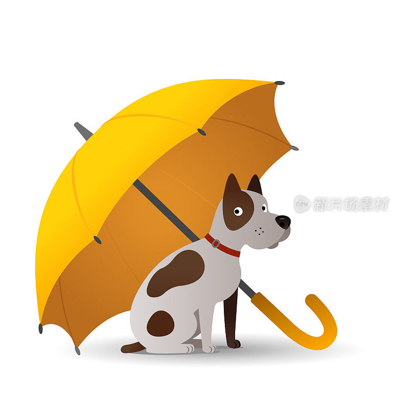 狗坐在伞下