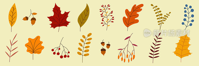 手绘秋季系列与季节性的植物和树叶。一套手绘植物，树叶，花朵。色彩丰富的自然元素为季节性背景。矢量图
