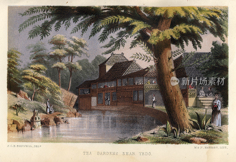 日本茶园附近Yedo(江户)的复古插图，日本，历史，19世纪