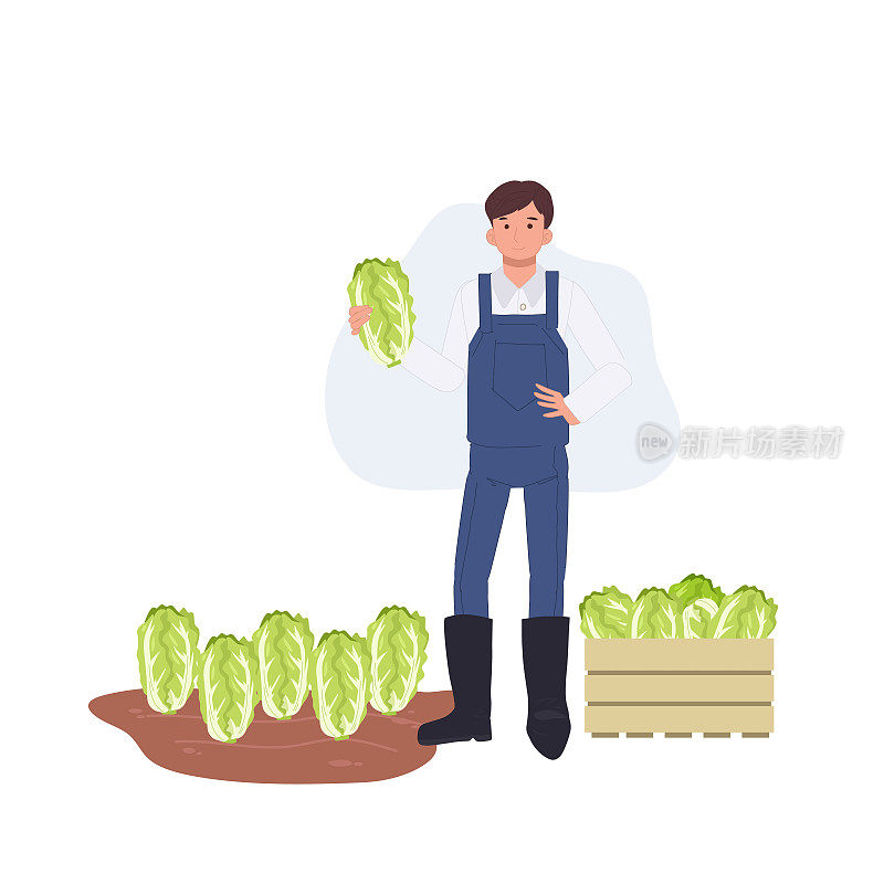 农业的概念。男农民与蔬菜大白菜。农民拿着新鲜的产品。平面矢量卡通人物插画。