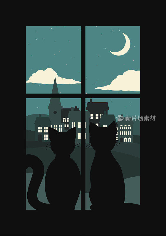 两只相爱的猫在夜晚望向窗外