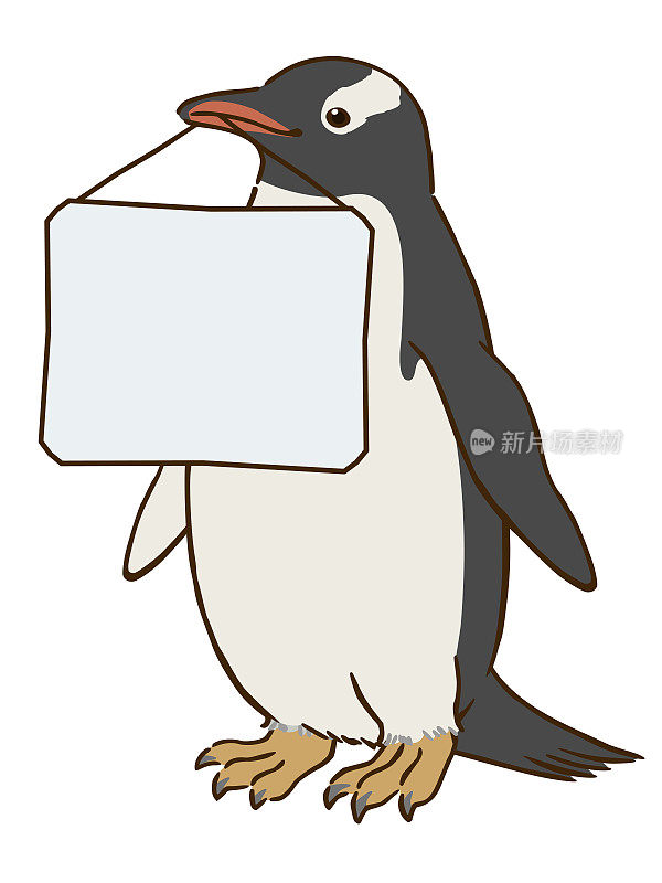 巴布亚企鹅叼着留言板