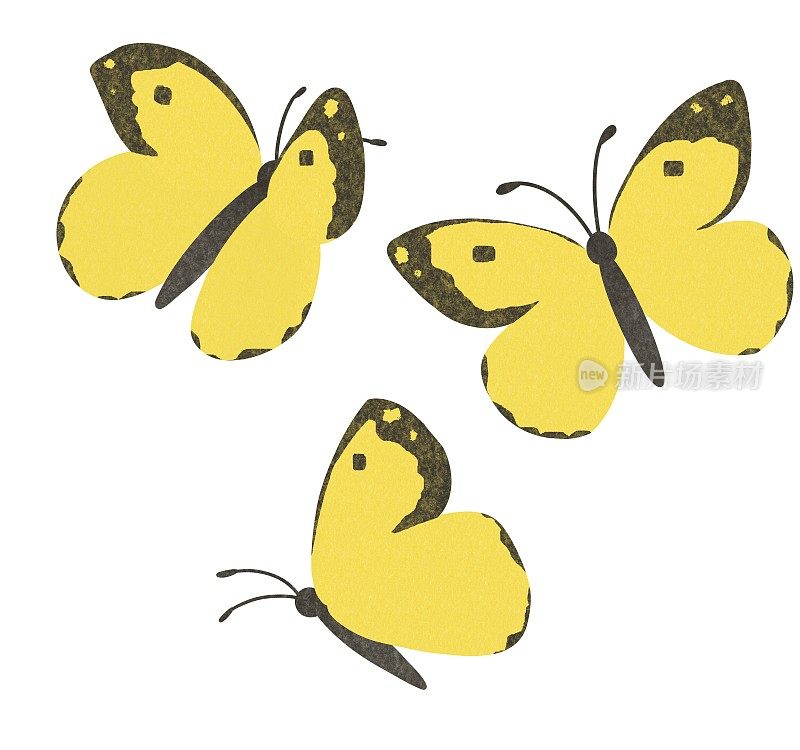 黄蝴蝶插画材料。三种颜色浅的燕尾蝶。