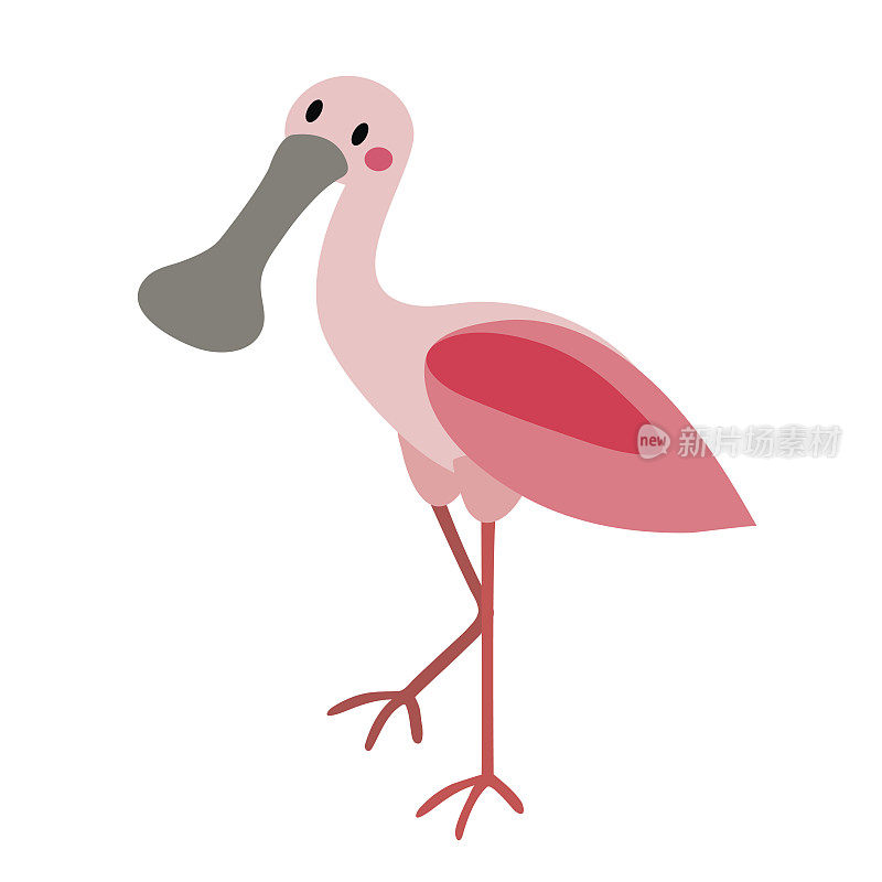站立玫瑰琵鹭鸟动物卡通人物矢量插图。