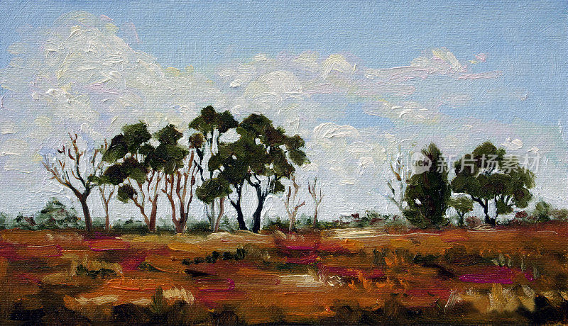 澳大利亚风景油画