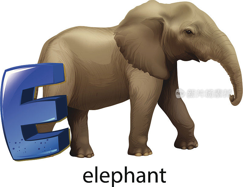 字母E代表大象