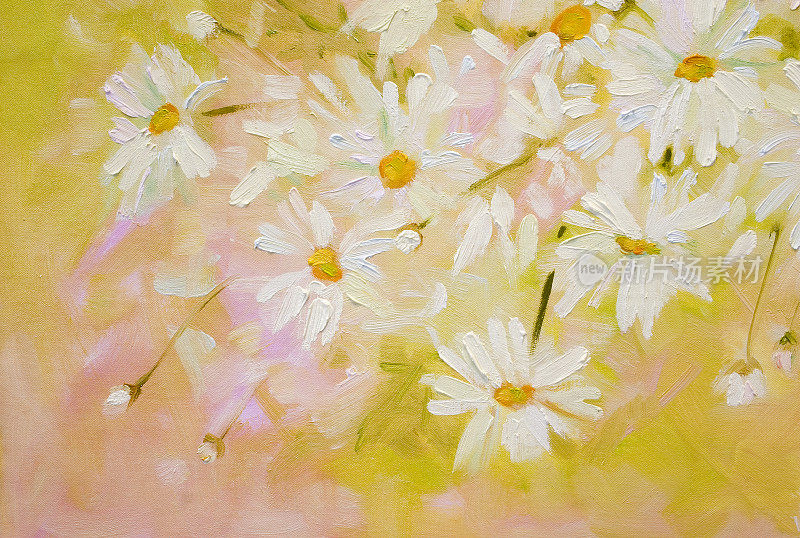 白色雏菊油画