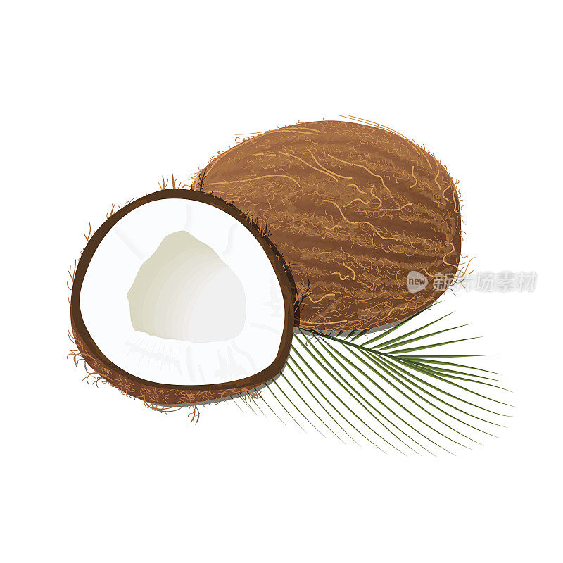 成熟多汁的椰子，叶子孤立在白色上。整个半