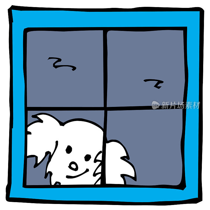狗在窗