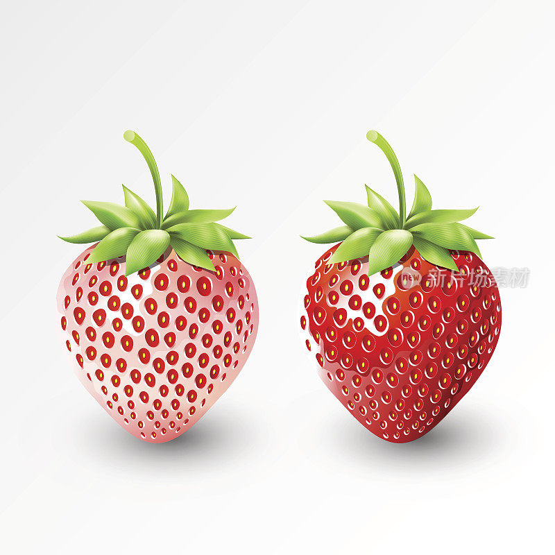 草莓和白草莓菠萝莓，水果，透明，矢量