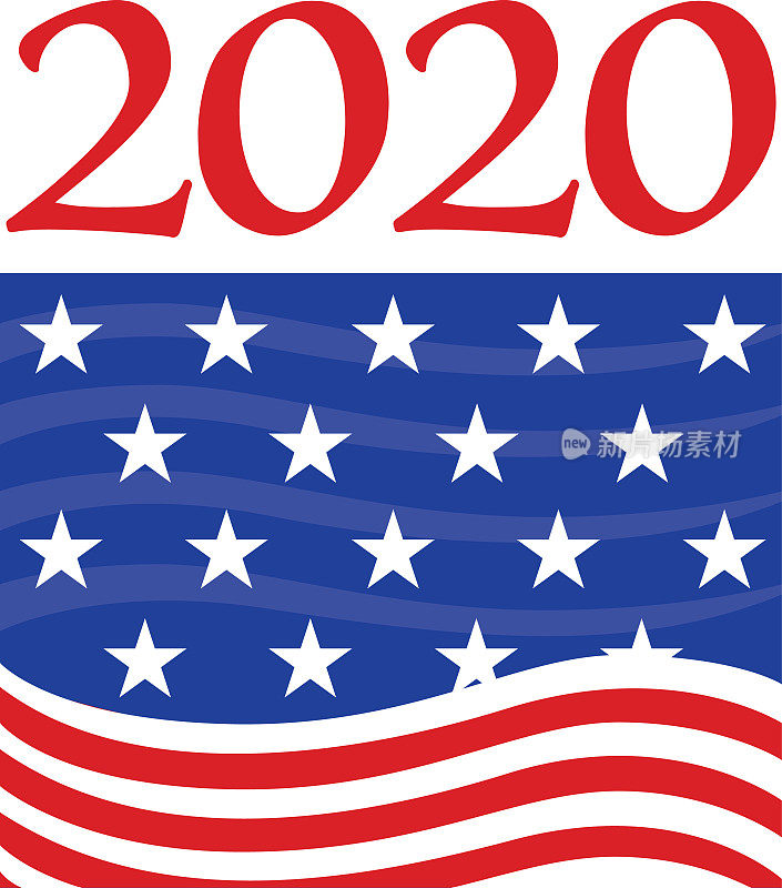 2020年大选旗帜