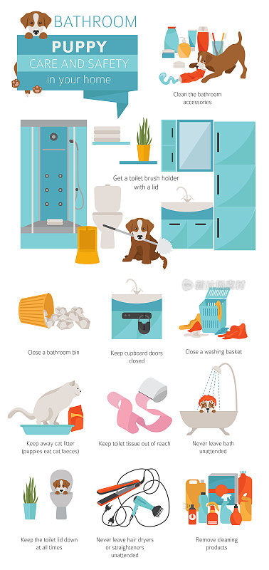 在你的家里照顾小狗和安全。浴室。宠物狗训练信息图设计
