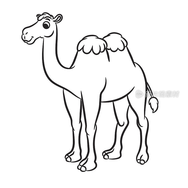 可爱的骆驼卡通插图