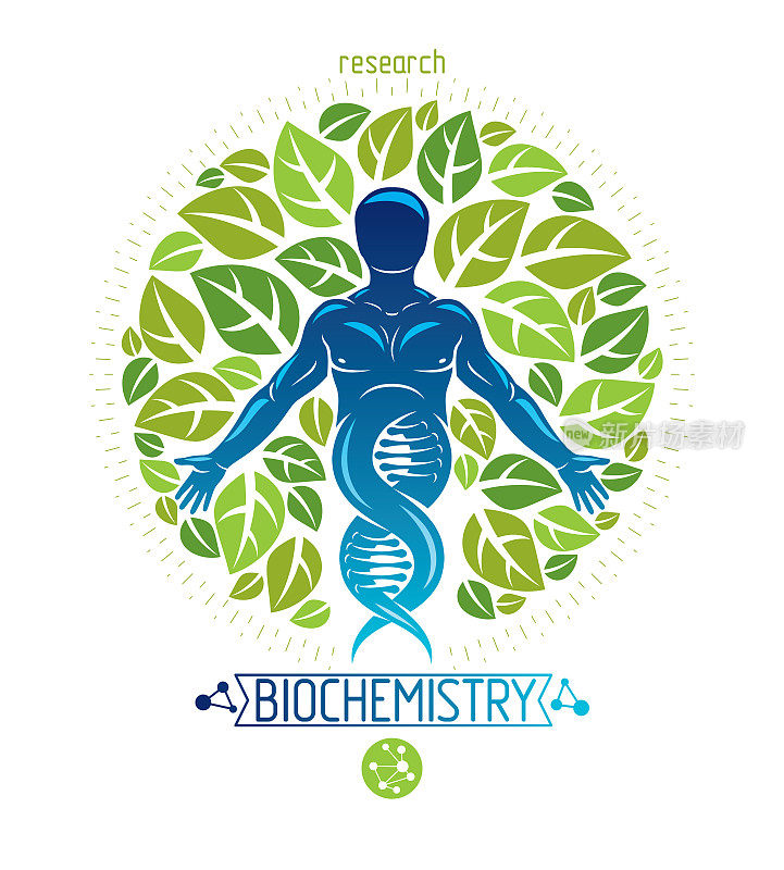 矢量图形插图肌肉人类描绘为DNA符号延续和创造与生态树叶。绿色思维技术创新，生态环保理念。