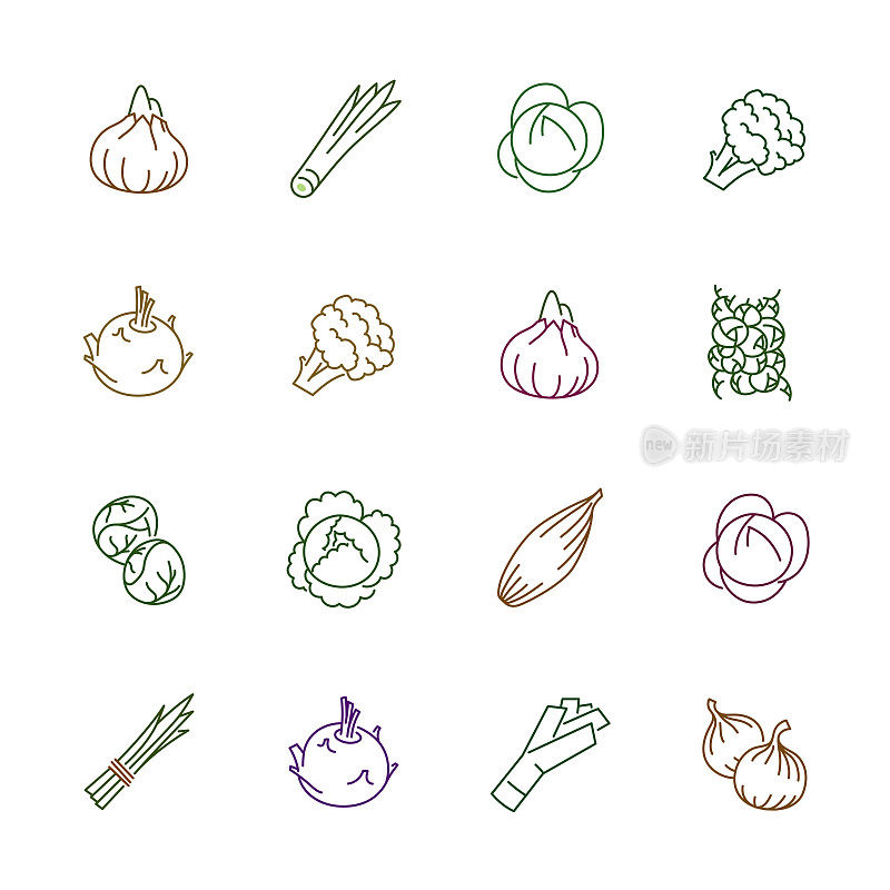 蔬菜图标-洋葱，卷心菜和花椰菜