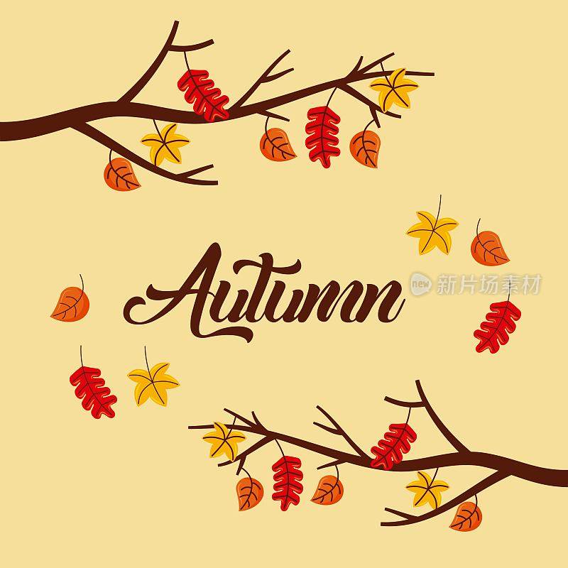 秋天的树枝树叶海报树叶与文字