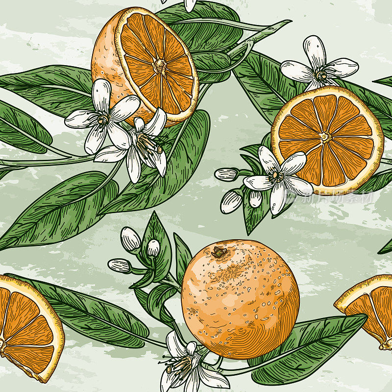 柑橘和橙花复古风格无缝模式