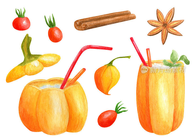 南瓜罐水彩饮料，肉桂，八角茴香，酸浆和玫瑰果。秋季鸡尾酒与调酒棒。手绘可爱的季节性秋天食物元素孤立在白色的背景。
