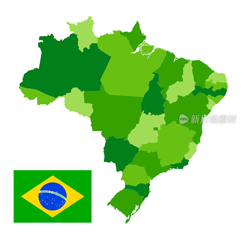 带有国旗的巴西地图。带区域的矢量绿色插图