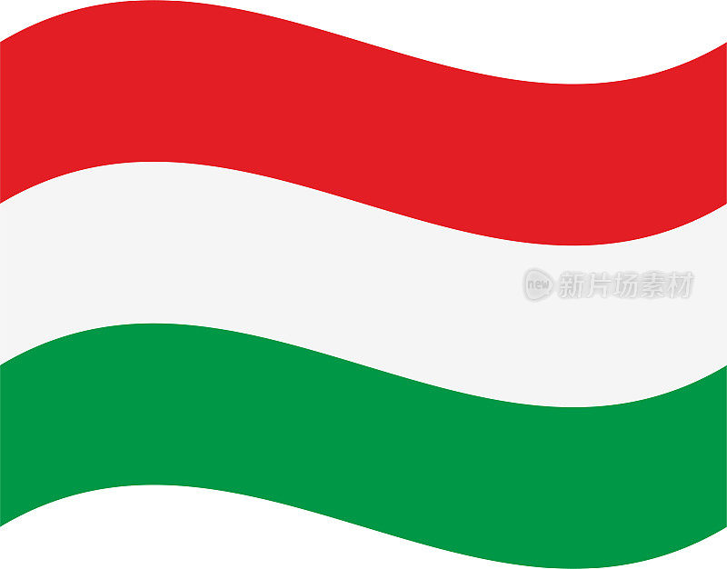 匈牙利挥舞着国旗