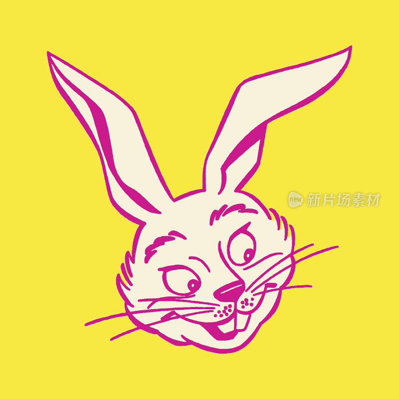 插图的兔子