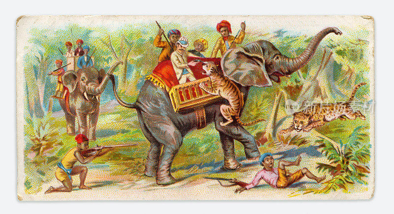 斯里兰卡人狩猎老虎大象新艺术插图