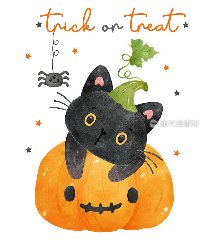 可爱的水彩好奇的黑色小猫在橙色南瓜蜘蛛，恶作剧或款待，水彩矢量孤立在白色背景