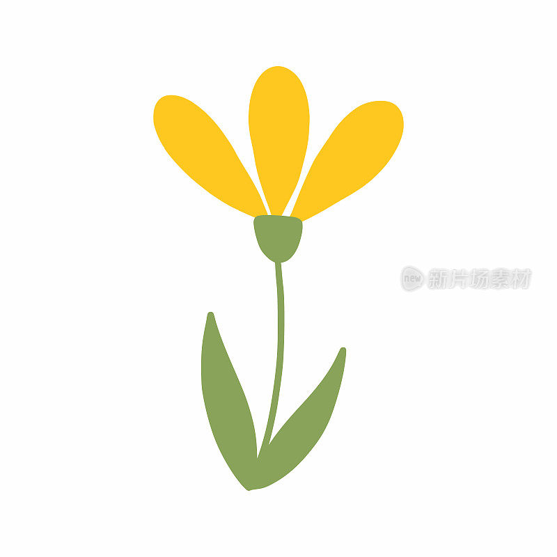 黄色的菊花。明信片装饰元素。向量孤立的形象。可爱的花贴纸。