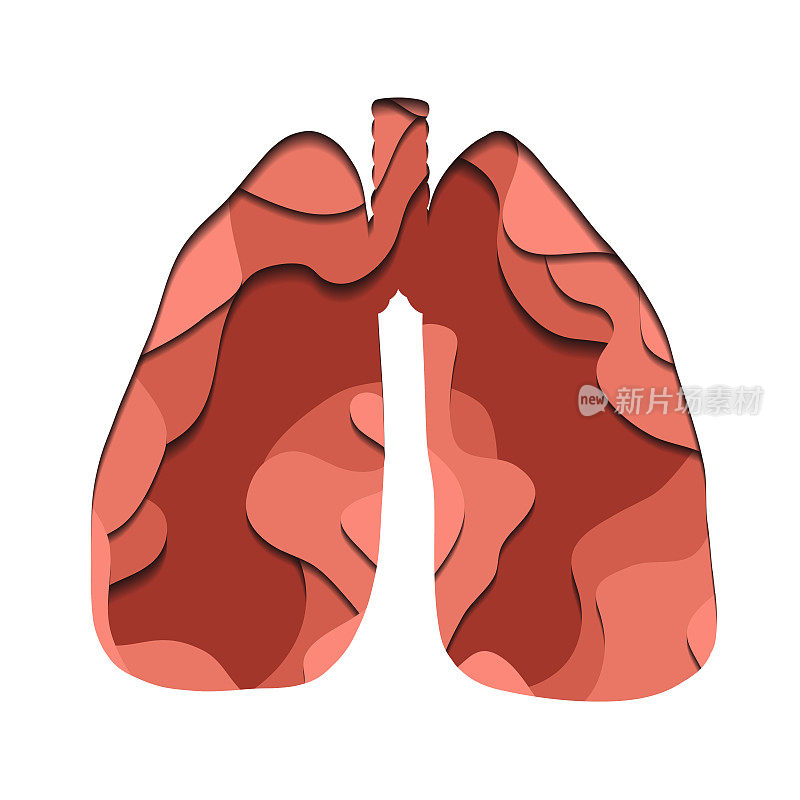 矢量剪纸插图的粉红色剪影的人类肺。人体器官曲线三维医学剪辑艺术。分层的元素