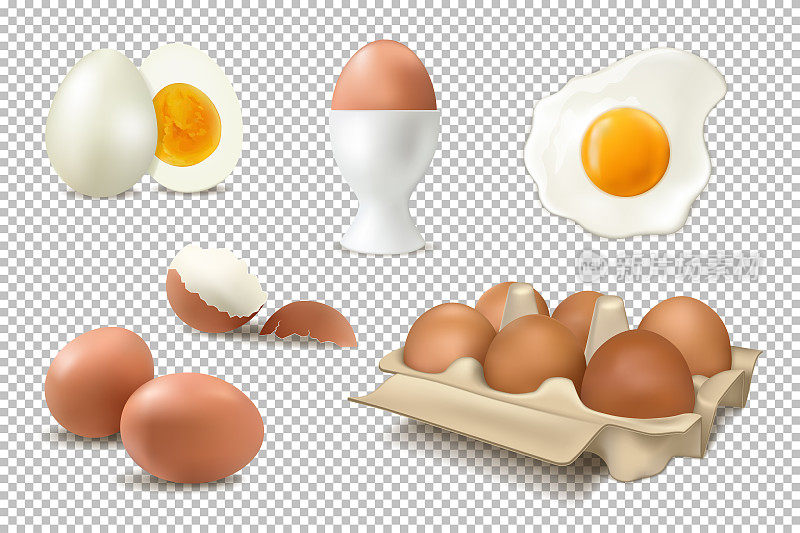 鸡蛋。矢量写实插图。盒子里的鸡蛋，煮熟的鸡蛋，透明背景上的蛋壳。