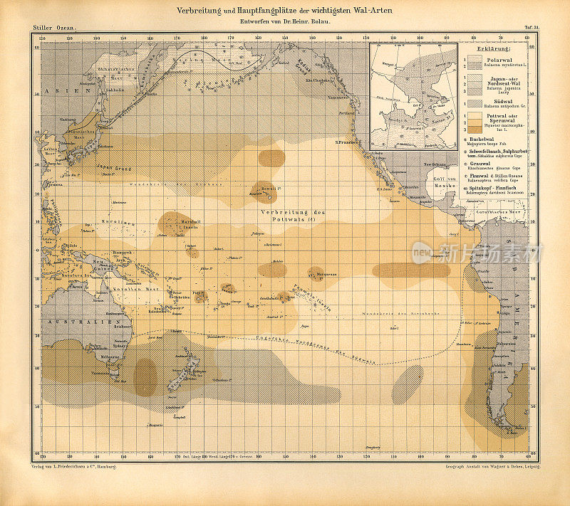 太平洋天气模式图，德国古董维多利亚雕刻，1896年