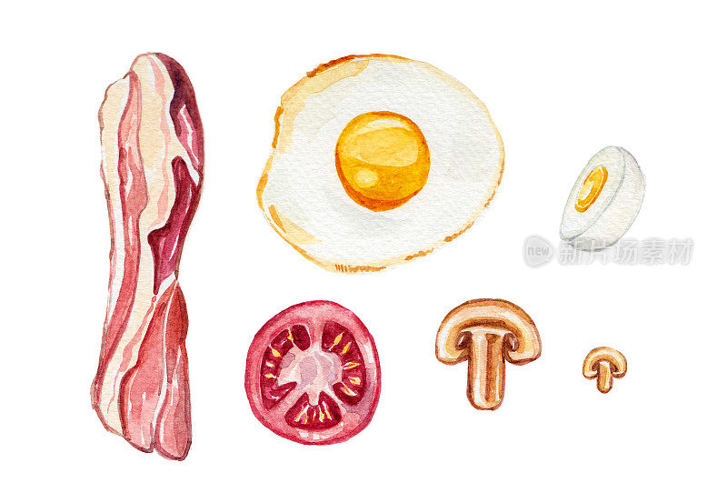 培根和鸡蛋-水彩画插图