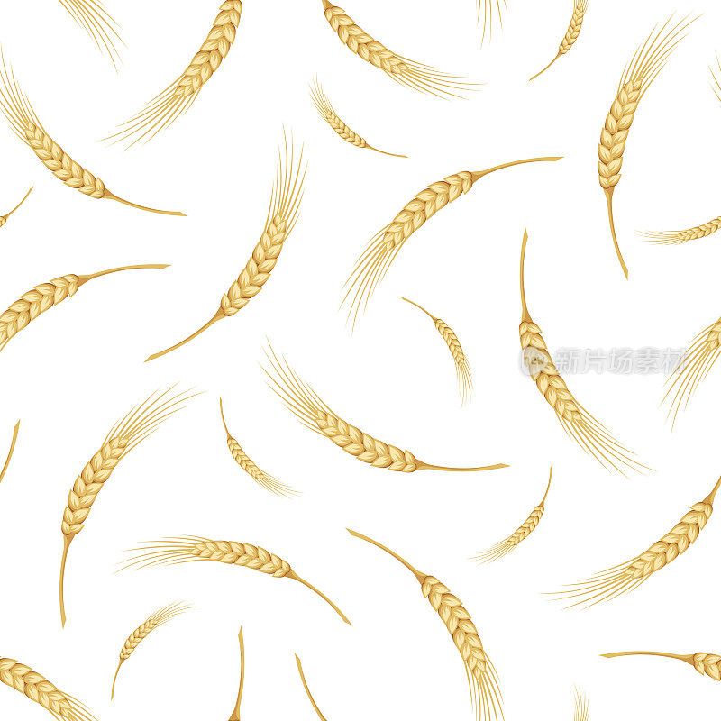 无缝模式与小麦穗。矢量插图。