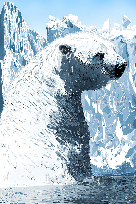 插图与场景北极熊