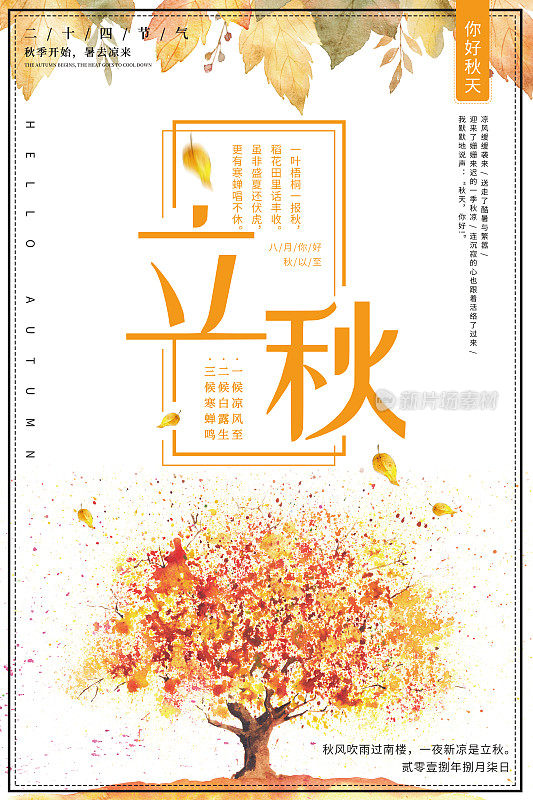 插画二十四节气立秋海报
